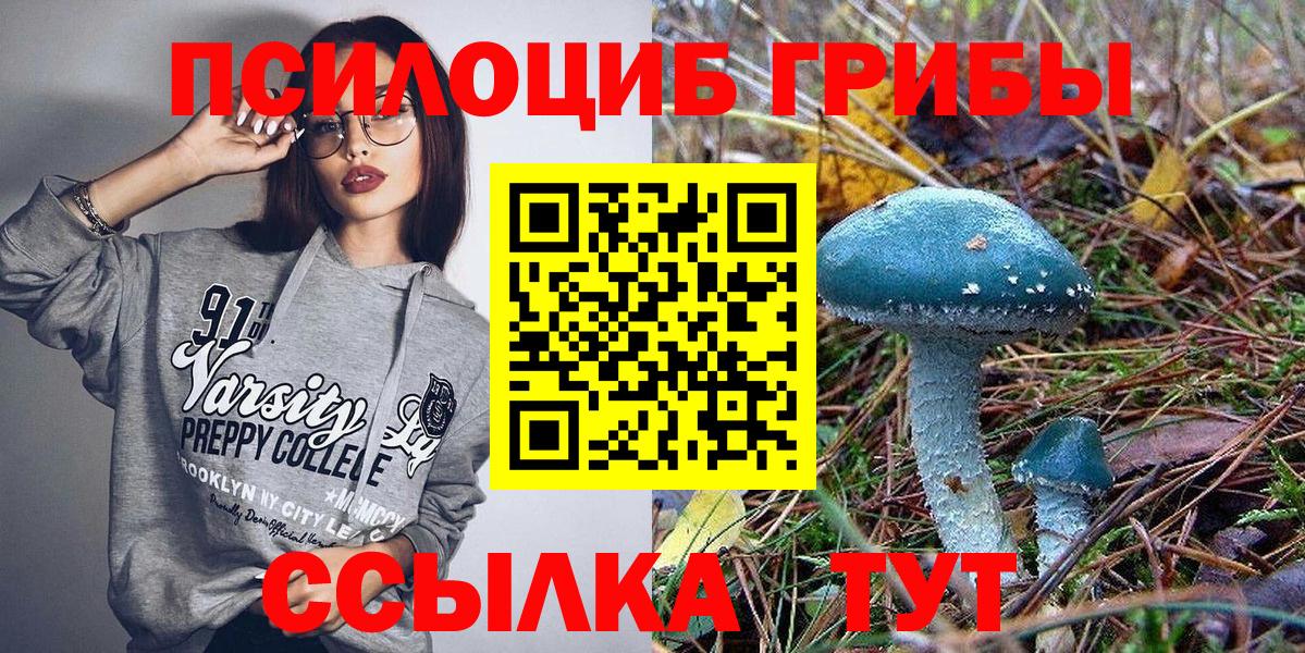 Псилоцибиновые грибы Psilocybine cubensis  Вход с VPN  Галлюциногенные грибы мицелий  Кулебаки 