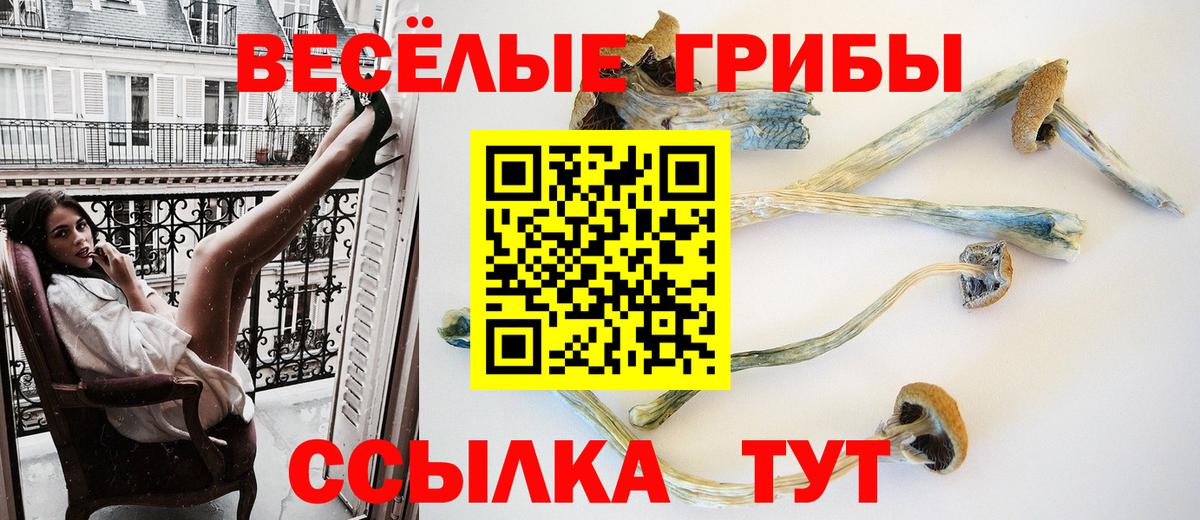 Псилоцибиновые грибы Cubensis Кулебаки